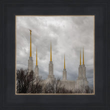 Load image into Gallery viewer, Washington DC Through Life's Storms