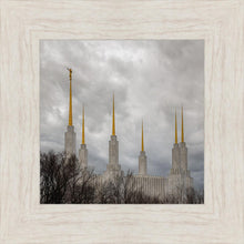 Load image into Gallery viewer, Washington DC Through Life's Storms