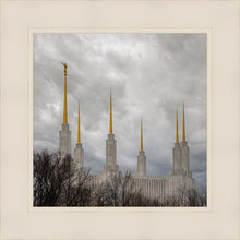 Load image into Gallery viewer, Washington DC Through Life's Storms