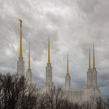 Load image into Gallery viewer, Washington DC Through Life's Storms