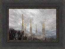 Load image into Gallery viewer, Washington DC Through Life's Storms