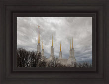 Load image into Gallery viewer, Washington DC Through Life's Storms