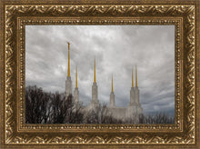 Load image into Gallery viewer, Washington DC Through Life's Storms