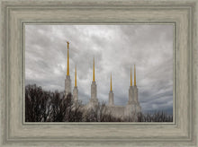 Load image into Gallery viewer, Washington DC Through Life's Storms