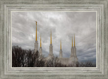 Load image into Gallery viewer, Washington DC Through Life's Storms
