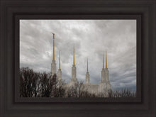Load image into Gallery viewer, Washington DC Through Life's Storms