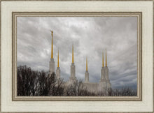 Load image into Gallery viewer, Washington DC Through Life's Storms