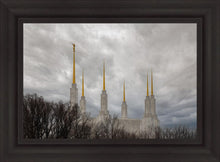 Load image into Gallery viewer, Washington DC Through Life's Storms