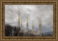 Load image into Gallery viewer, Washington DC Through Life's Storms