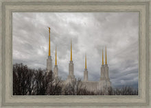 Load image into Gallery viewer, Washington DC Through Life's Storms