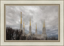 Load image into Gallery viewer, Washington DC Through Life's Storms