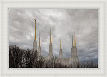 Load image into Gallery viewer, Washington DC Through Life's Storms