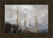 Load image into Gallery viewer, Washington DC Through Life's Storms