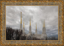 Load image into Gallery viewer, Washington DC Through Life's Storms