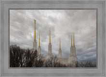 Load image into Gallery viewer, Washington DC Through Life's Storms
