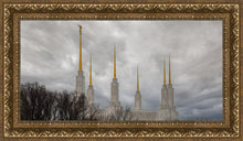 Load image into Gallery viewer, Washington DC Through Life's Storms