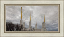 Load image into Gallery viewer, Washington DC Through Life's Storms