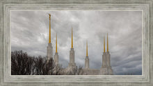 Load image into Gallery viewer, Washington DC Through Life's Storms