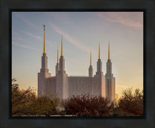 Load image into Gallery viewer, Washington DC Fall Skies
