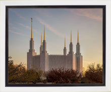 Load image into Gallery viewer, Washington DC Fall Skies