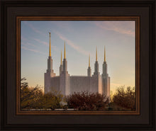Load image into Gallery viewer, Washington DC Fall Skies