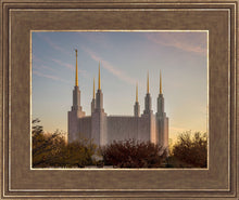 Load image into Gallery viewer, Washington DC Fall Skies