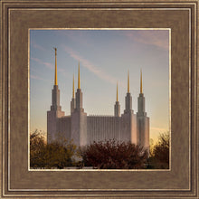 Load image into Gallery viewer, Washington DC Fall Skies