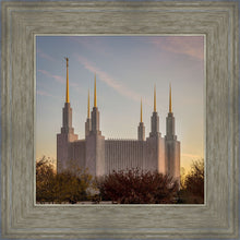 Load image into Gallery viewer, Washington DC Fall Skies