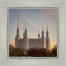Load image into Gallery viewer, Washington DC Fall Skies