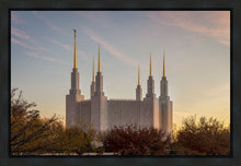 Load image into Gallery viewer, Washington DC Fall Skies