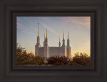 Load image into Gallery viewer, Washington DC Fall Skies