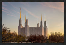 Load image into Gallery viewer, Washington DC Fall Skies