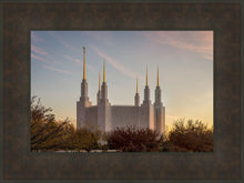 Load image into Gallery viewer, Washington DC Fall Skies