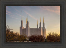 Load image into Gallery viewer, Washington DC Fall Skies