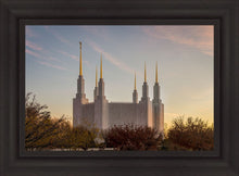 Load image into Gallery viewer, Washington DC Fall Skies