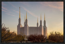 Load image into Gallery viewer, Washington DC Fall Skies