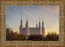 Load image into Gallery viewer, Washington DC Fall Skies