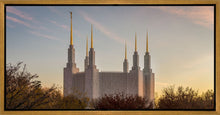Load image into Gallery viewer, Washington DC Fall Skies