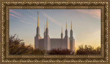 Load image into Gallery viewer, Washington DC Fall Skies