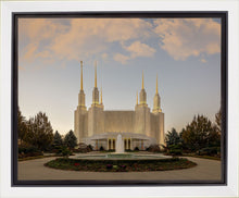 Load image into Gallery viewer, Washington DC Let Truth Prevail