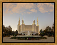 Load image into Gallery viewer, Washington DC Let Truth Prevail