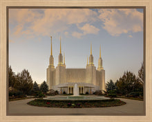 Load image into Gallery viewer, Washington DC Let Truth Prevail