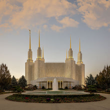 Load image into Gallery viewer, Washington DC Let Truth Prevail