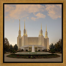 Load image into Gallery viewer, Washington DC Let Truth Prevail