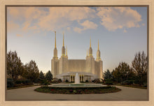 Load image into Gallery viewer, Washington DC Let Truth Prevail