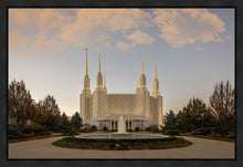 Load image into Gallery viewer, Washington DC Let Truth Prevail