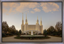 Load image into Gallery viewer, Washington DC Let Truth Prevail