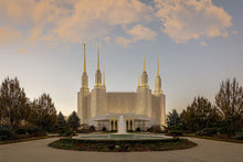 Load image into Gallery viewer, Washington DC Let Truth Prevail