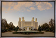 Load image into Gallery viewer, Washington DC Let Truth Prevail