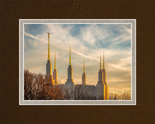 Load image into Gallery viewer, Washington DC Golden Hour